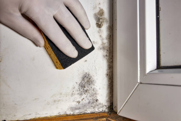 Water damage restoration mold remediation in Manchester, NH